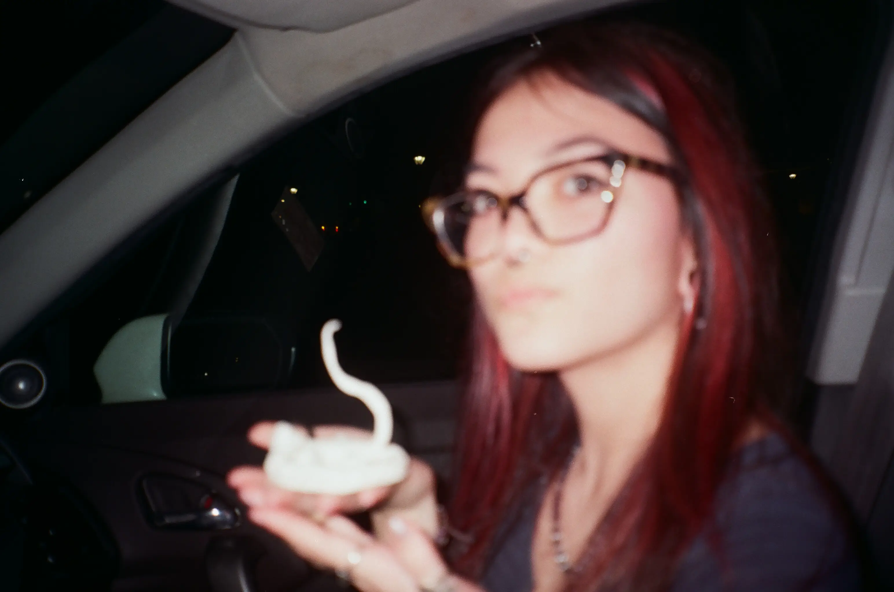 Image 34
